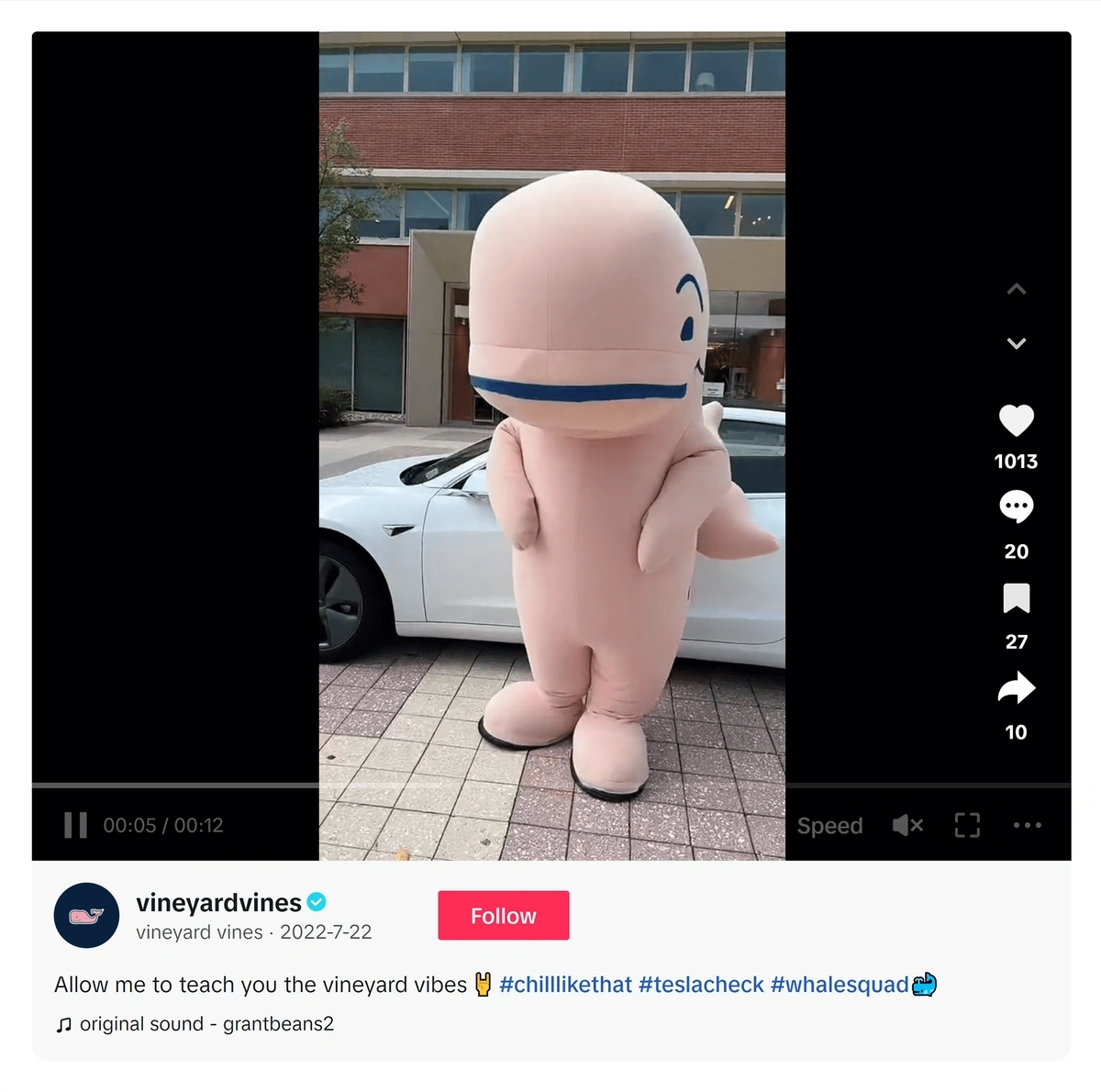 Tiktok Vineyardvines